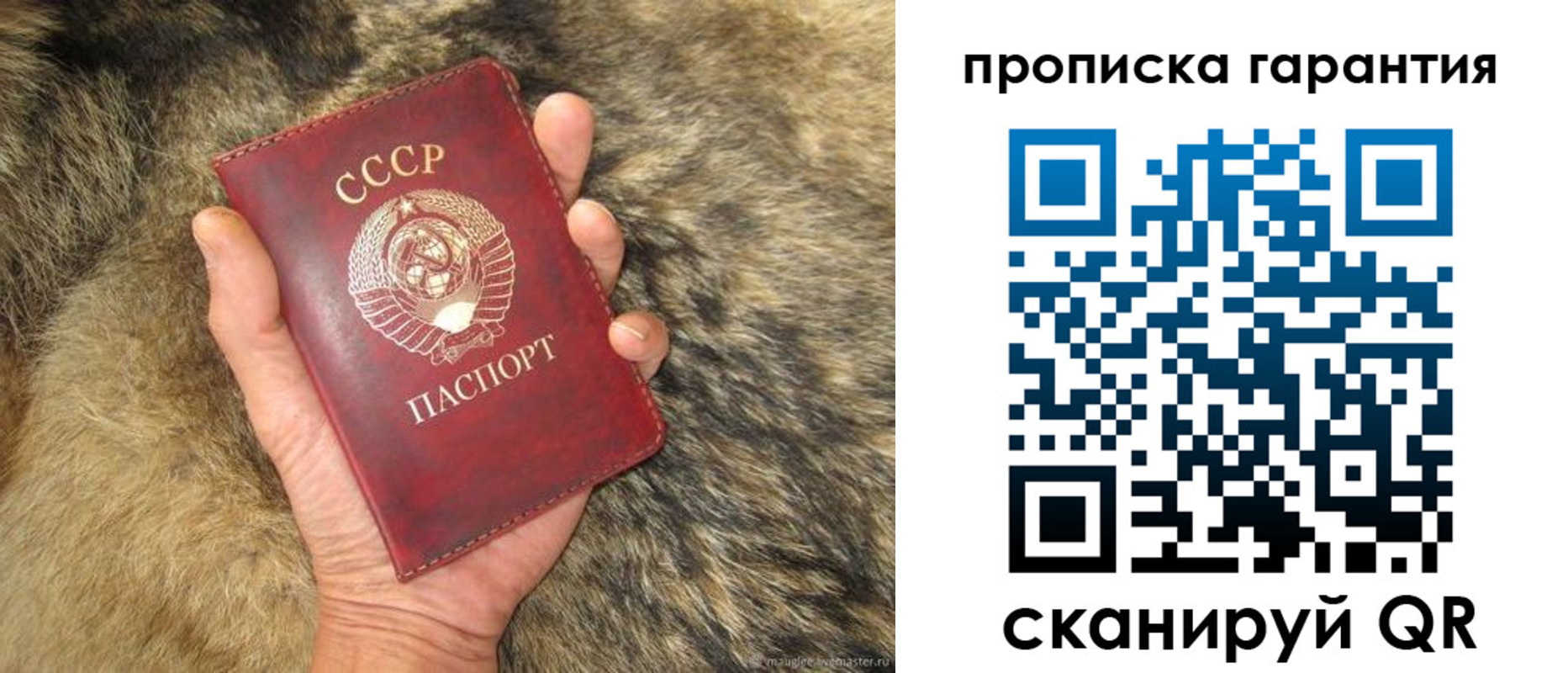 прописка паспорт в Клинцах